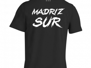 MADRID SUR